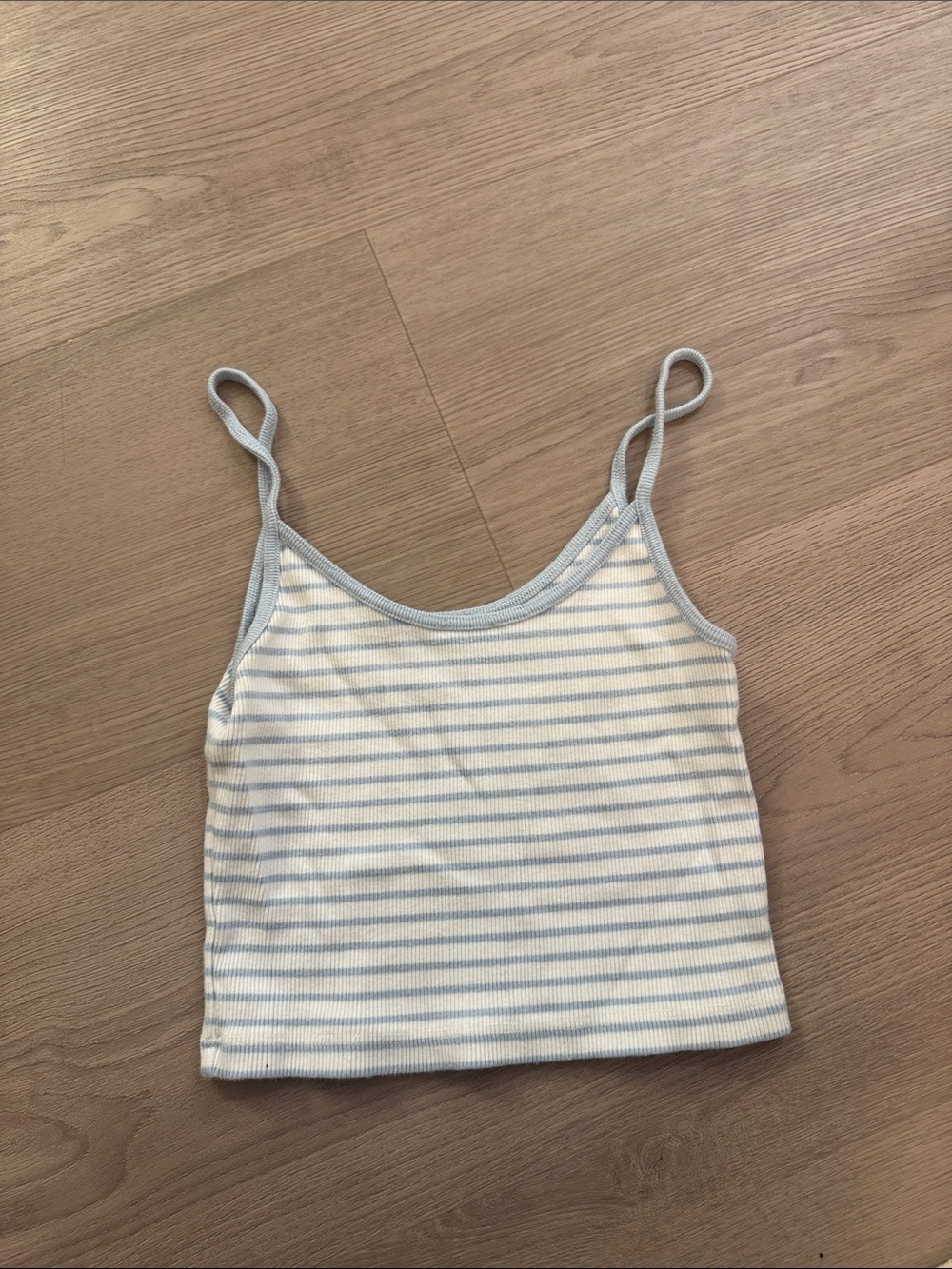Brandy Melville Blue and White Stripes Cropped